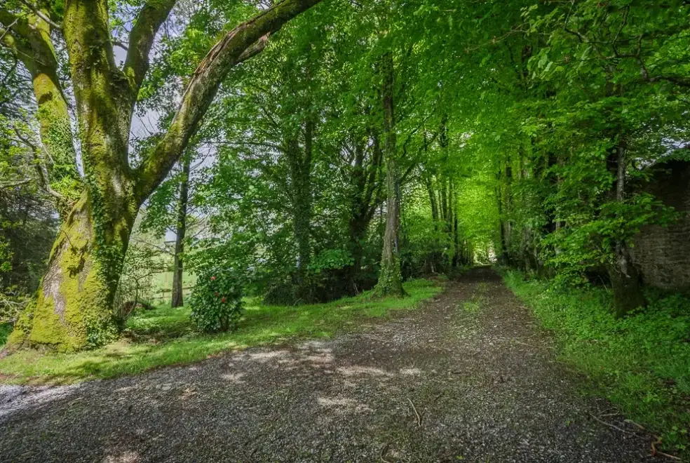 Countryside near Lingcombe Barn in Dartmoor