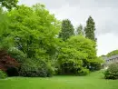 Garden at Lingcombe Barn in Dartmoor - thumbnail photo