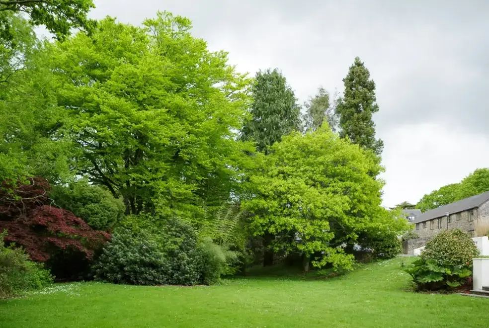 Garden at Lingcombe Barn in Dartmoor