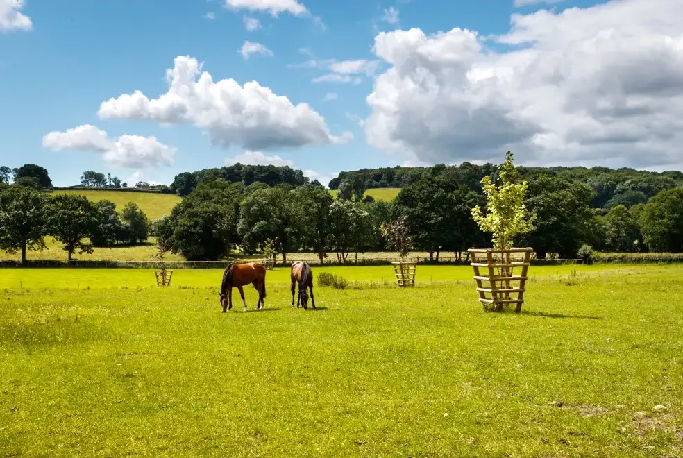 Countryside views at Little Canwood House, Sleeps 7+1, 5* Gold Award Winning