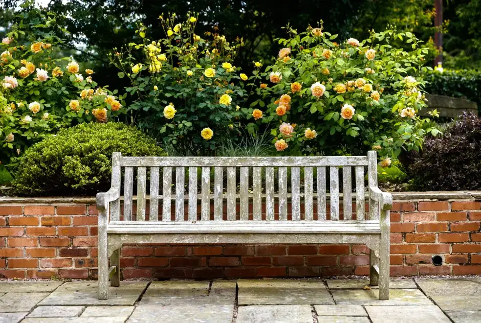 Garden furniture at Little Canwood House, Sleeps 7+1, 5* Gold Award Winning