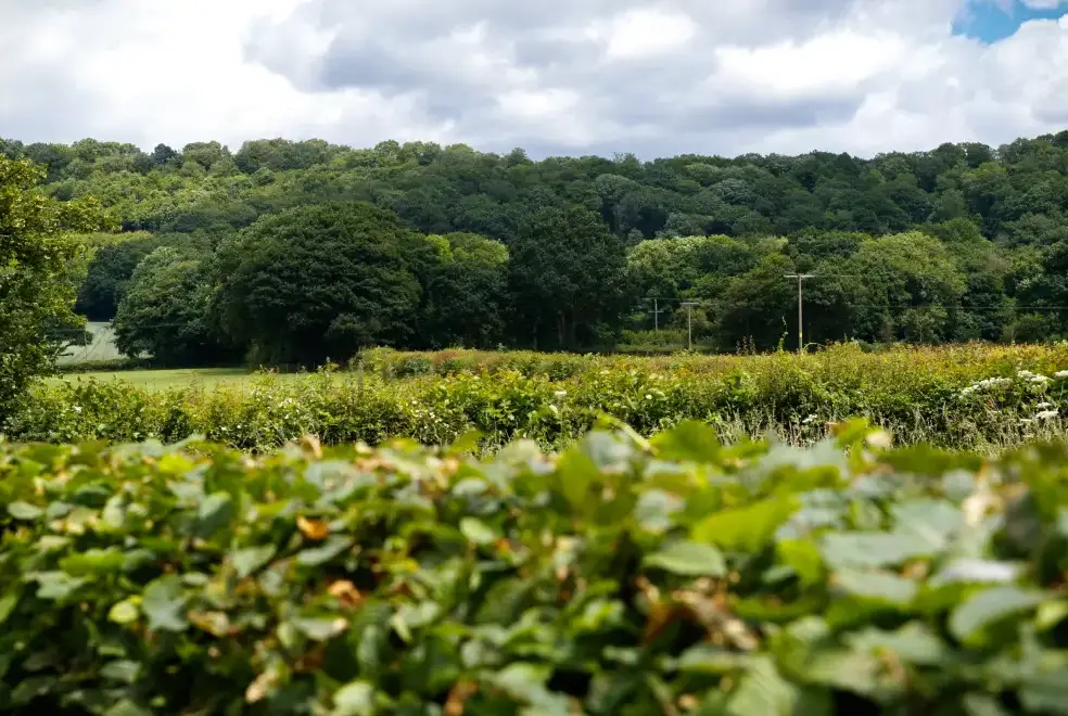 Countryside views at Little Canwood House, Sleeps 7+1, 5* Gold Award Winning