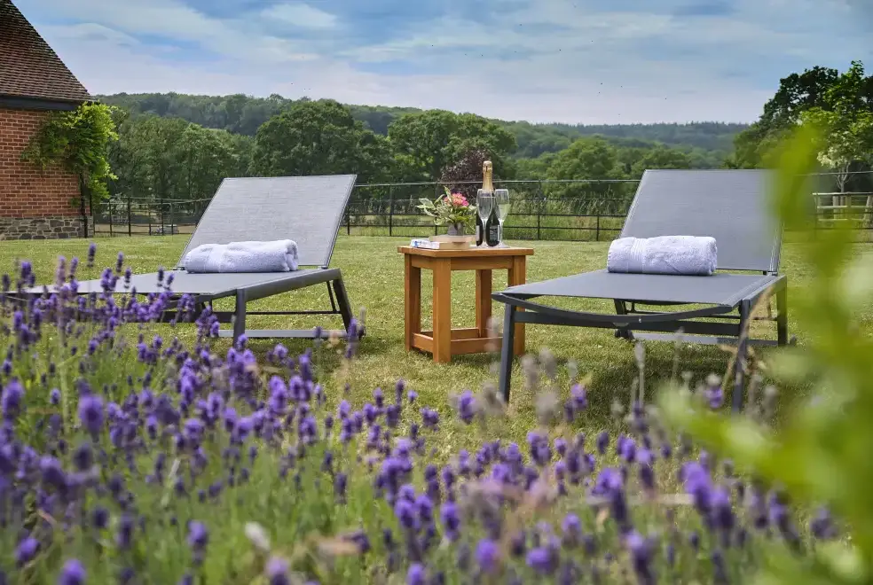 Garden at Little Canwood House, Sleeps 7+1, 5* Gold Award Winning