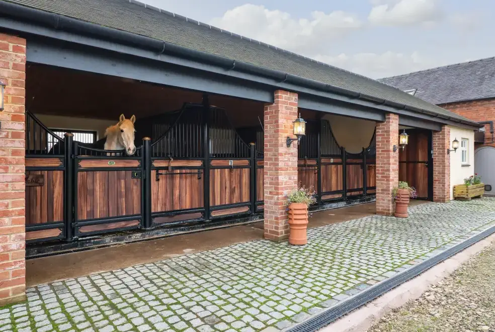 Surrounding area near Little Gem