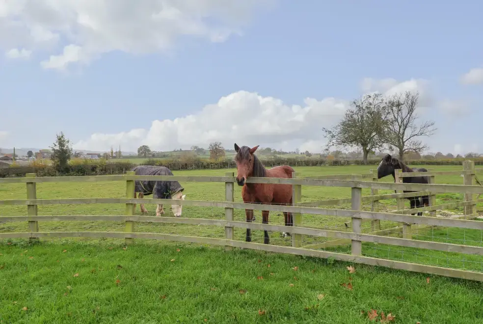 Countryside views at Little Gem