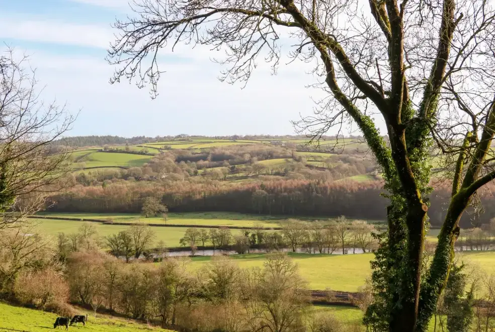 Countryside views at Little Silver Fox Shepherds Hut