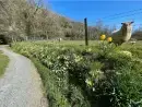  at Lletty Bach - thumbnail photo