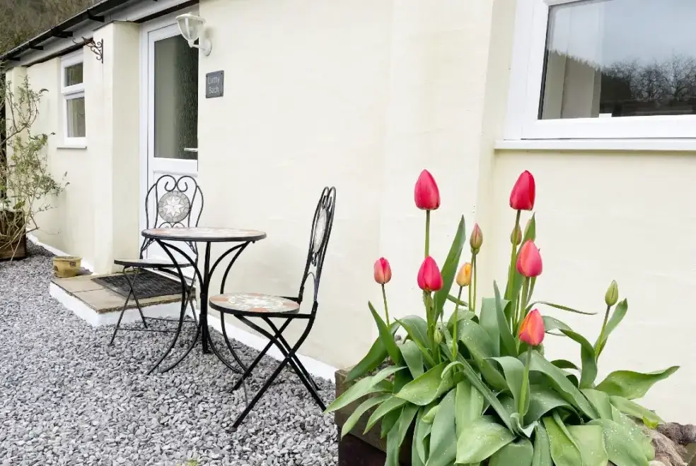 Patio area at Lletty Bach