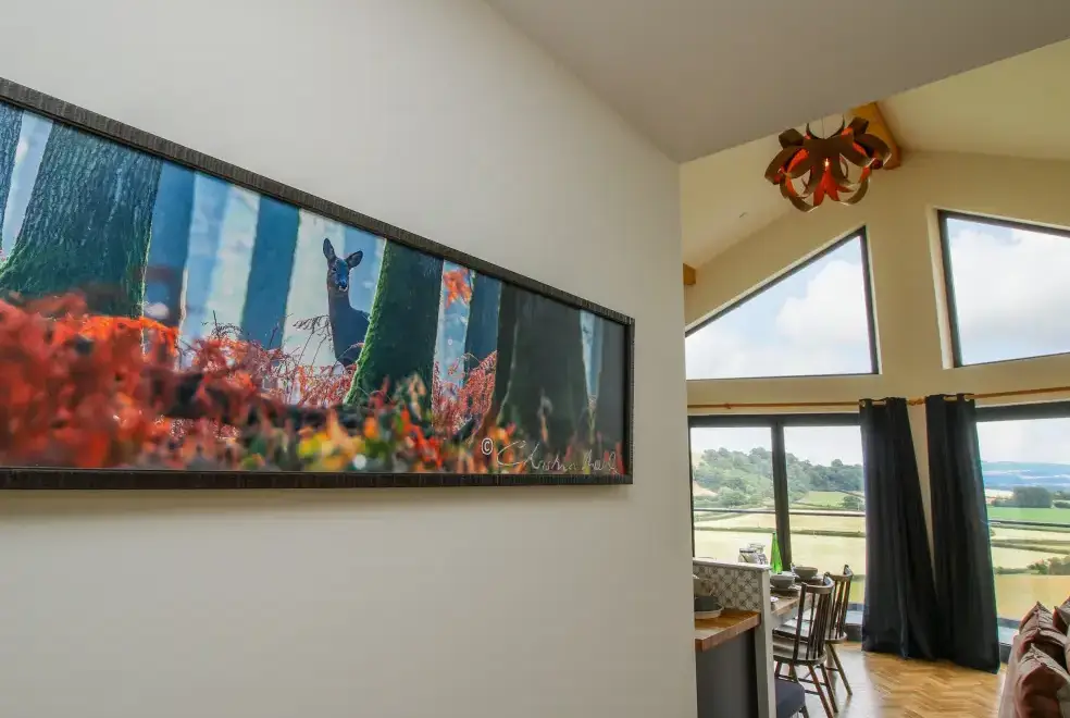 Countryside views at Llety Cariad