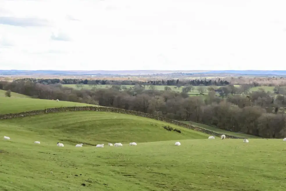 Countryside views at Low Shipley Barn, North Pennines