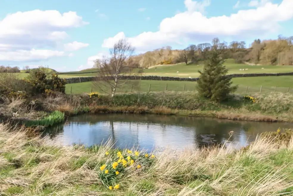 Countryside views at Low Shipley Barn, North Pennines