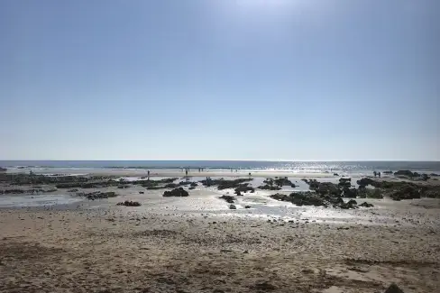 Coastal scenes near Lower Northcott  Farmhouse, Cornwall
