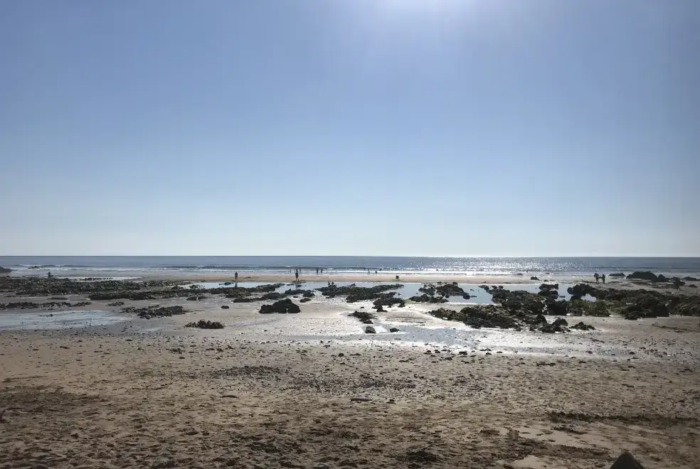Coastal scenes near Lower Northcott  Farmhouse