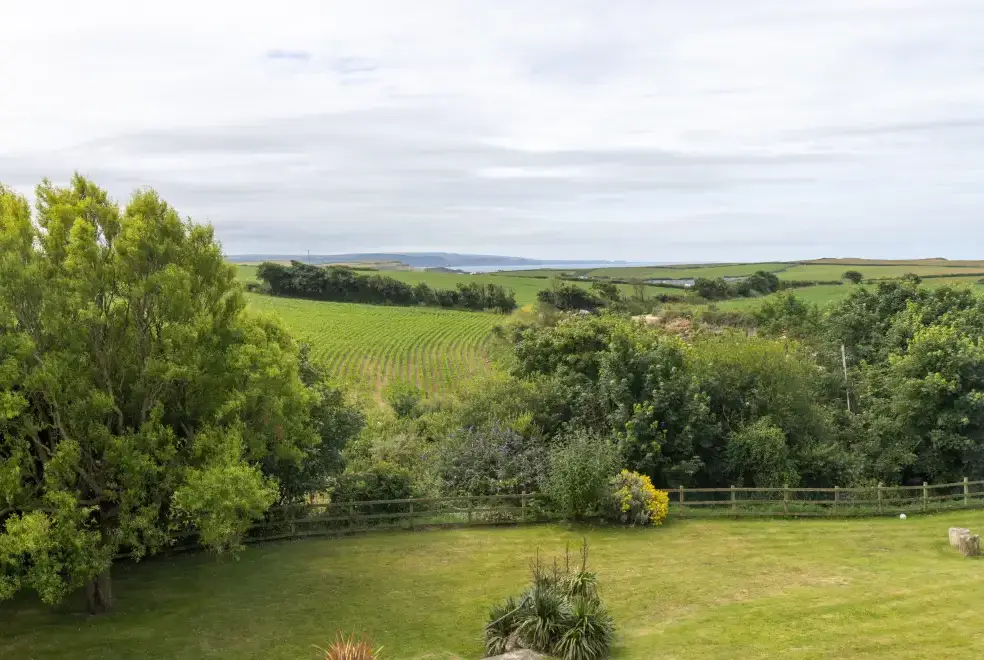 Countryside views at Lower Northcott  Farmhouse