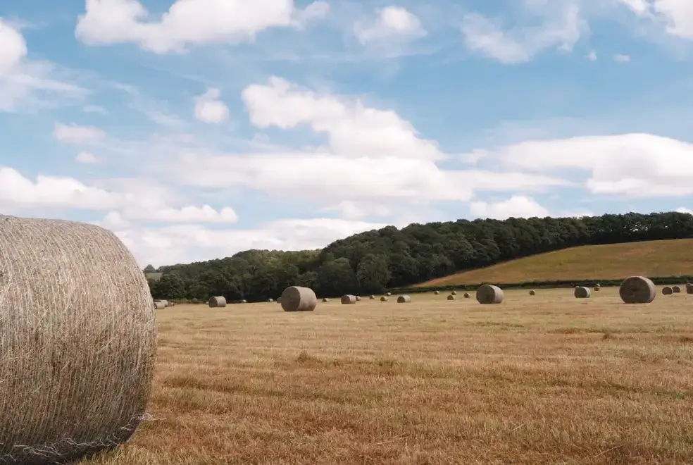 Countryside views at Lower Tundridge Cottage