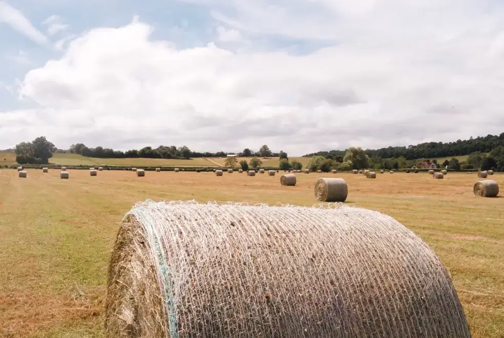 Countryside near Lower Tundridge Cottage