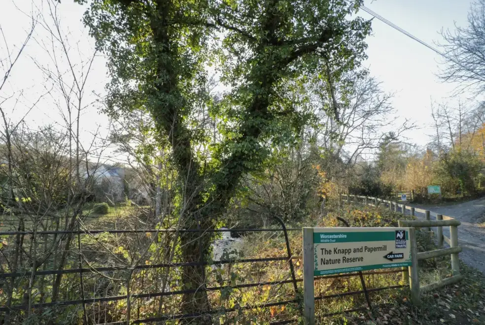 Countryside near Lower Tundridge Cottage