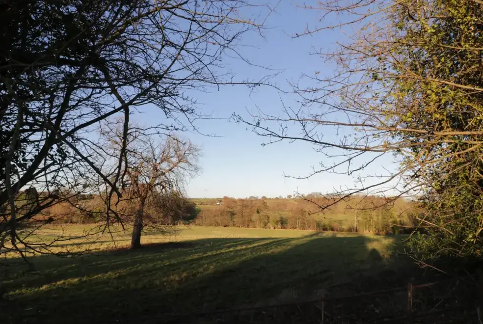 Countryside views at Lower Tundridge Cottage