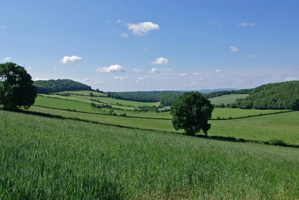 Countryside views at Luxury House, 5* Gold rated,sleeps 10+1 with a large garden, downstairs bedroom and wet room,  and a shared games room