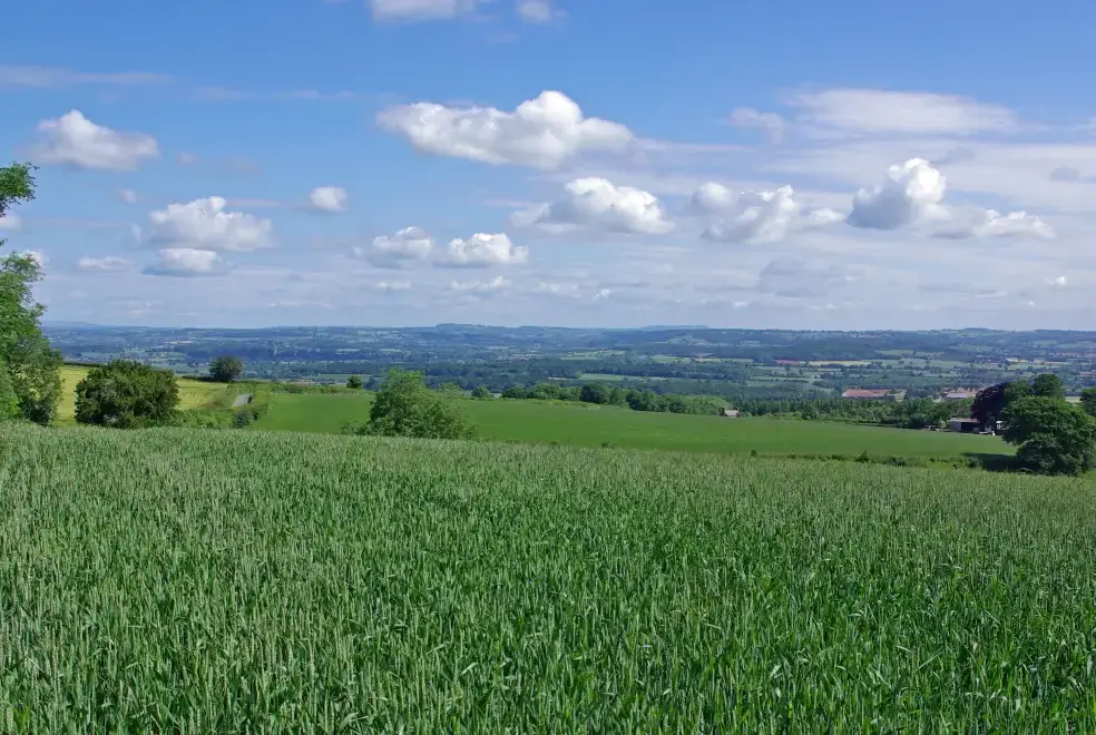 Countryside views at Luxury House, 5* Gold rated,sleeps 10+1 with a large garden, downstairs bedroom and wet room,  and a shared games room