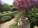 Garden at Magdalen Cottage at Oxford Country Cottages - thumbnail photo