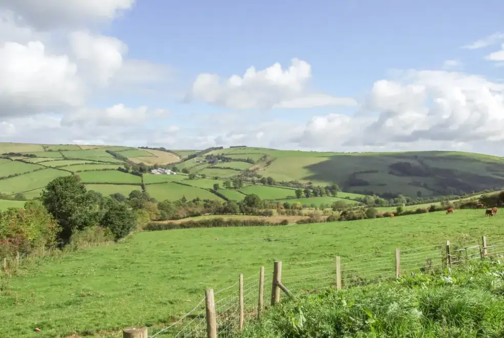 Countryside views at Mallard