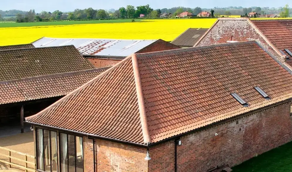 Mallard, from the outside