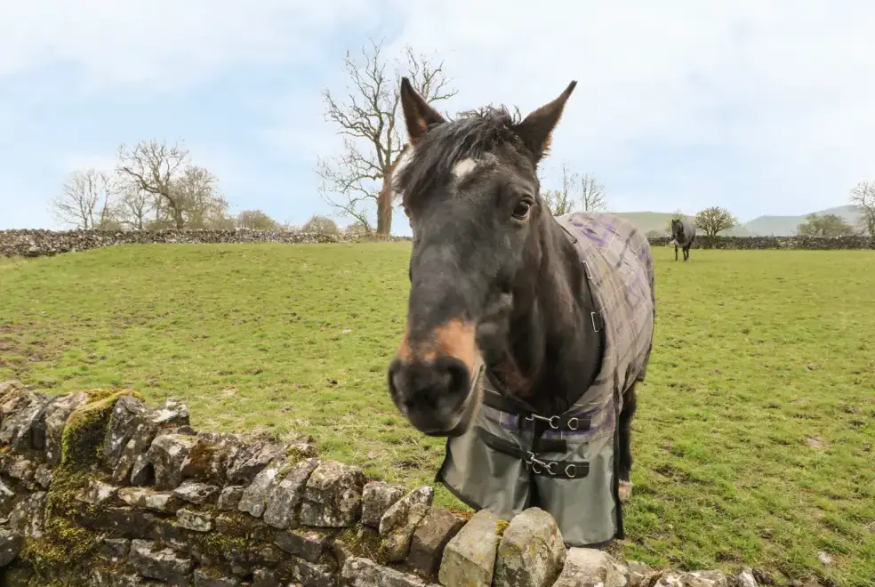 Countryside near Manifold Cottage