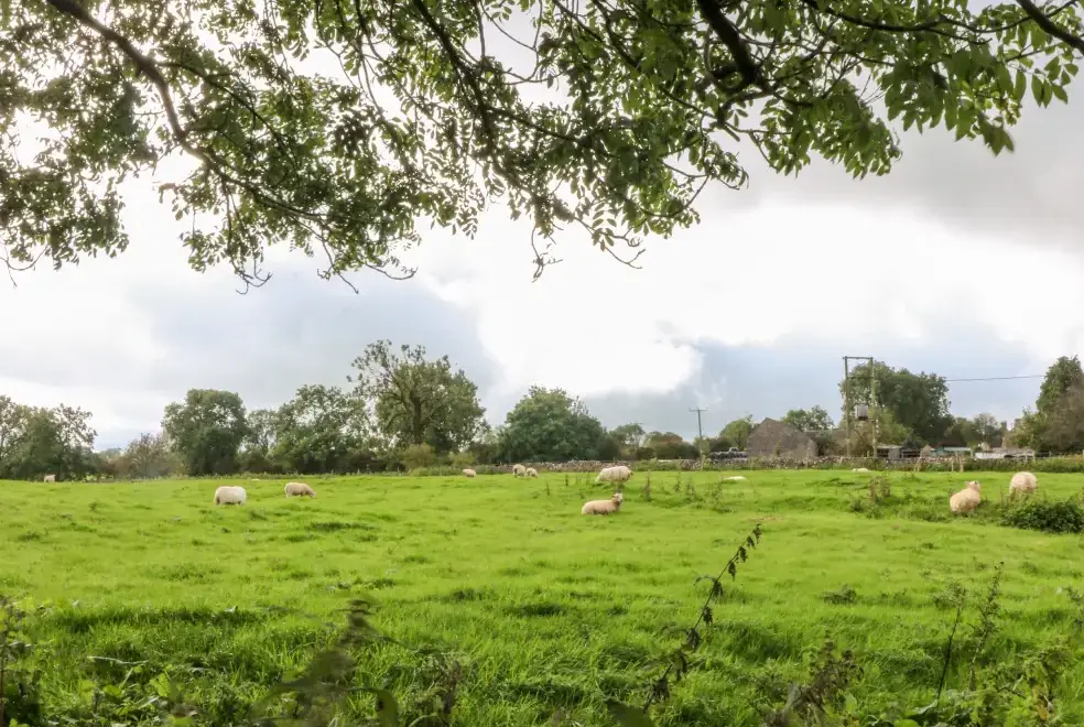 Countryside views at Manifold Cottage
