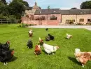 Countryside views at Manor Barn - thumbnail photo