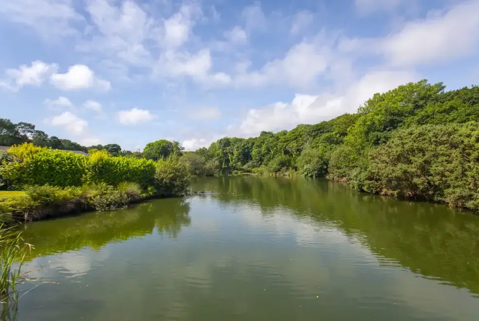 Lake view at Maple Lodge