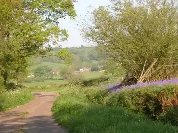 Countryside near Meadow Cottage