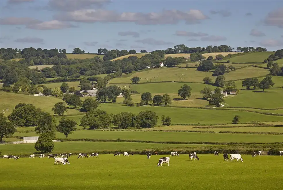 Countryside views at Meadow Cottage