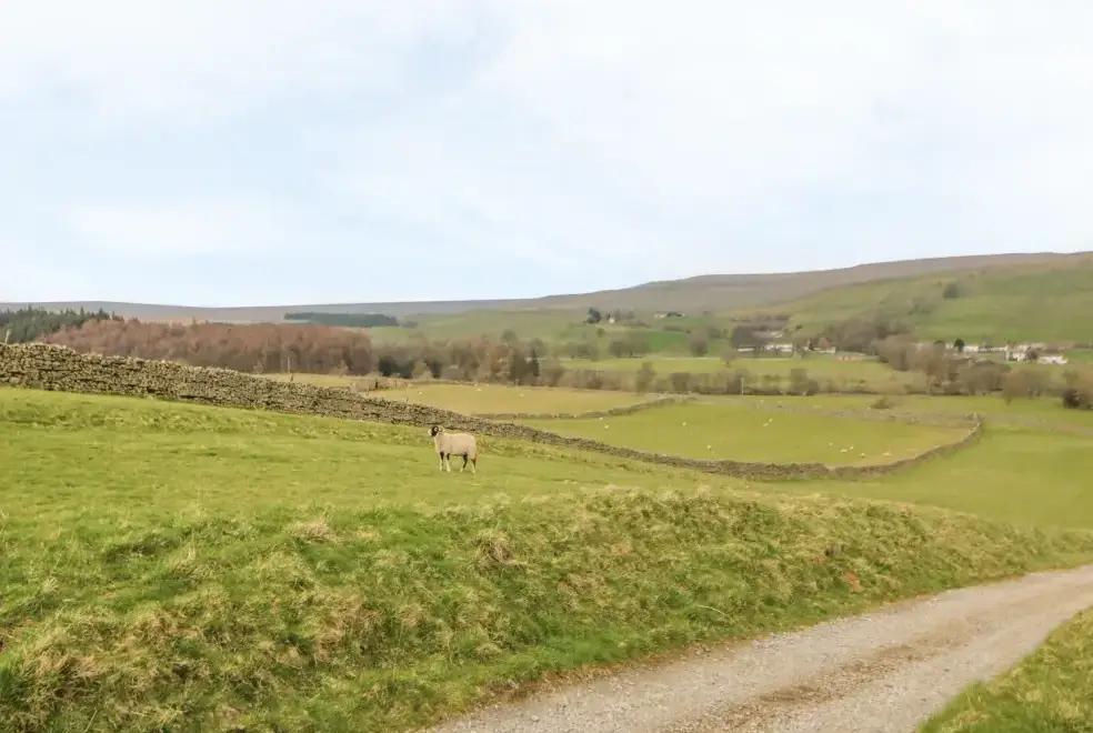 Countryside views at Meadows Edge