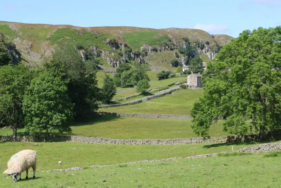 Countryside near Meadows Edge