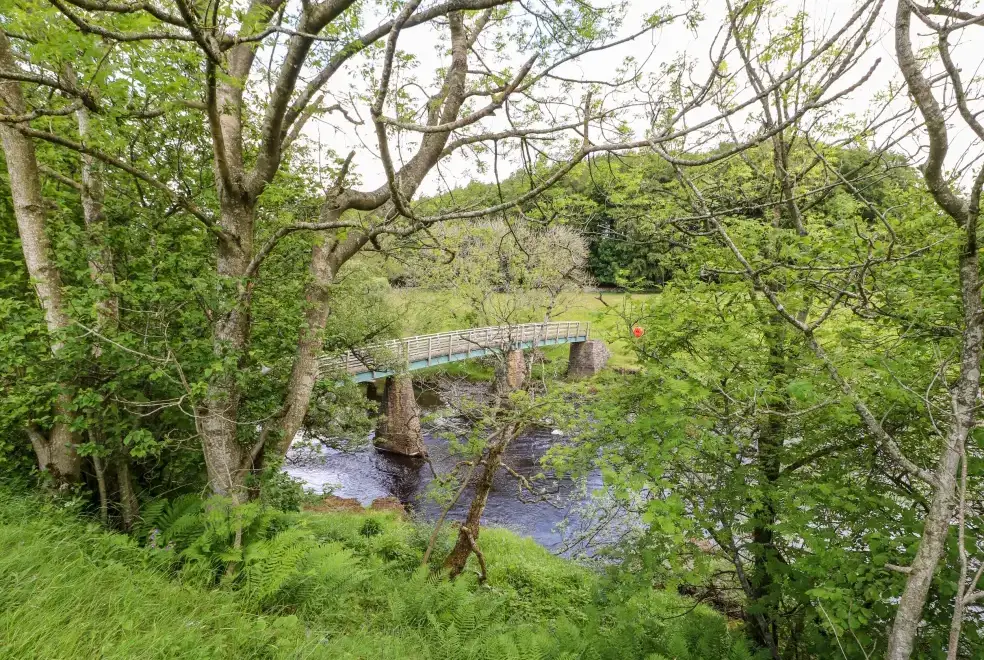 Countryside near Meadows Edge