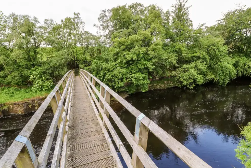 Countryside near Meadows Edge