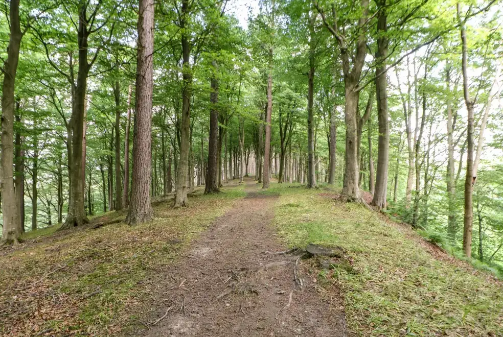 Good walks near Meadows Edge