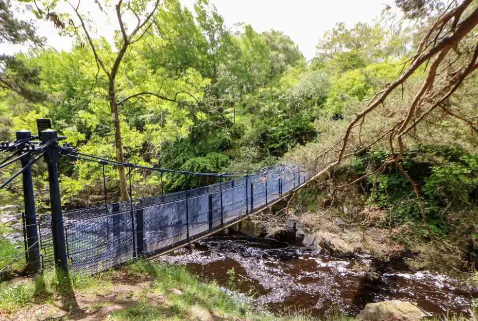 Countryside near Meadows Edge