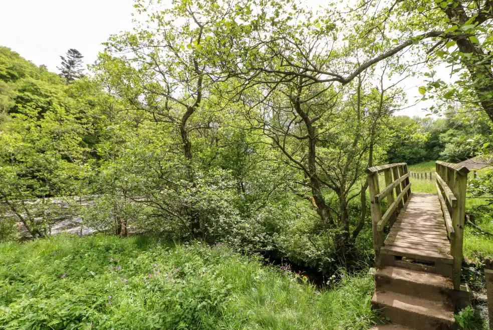 Countryside near Meadows Edge