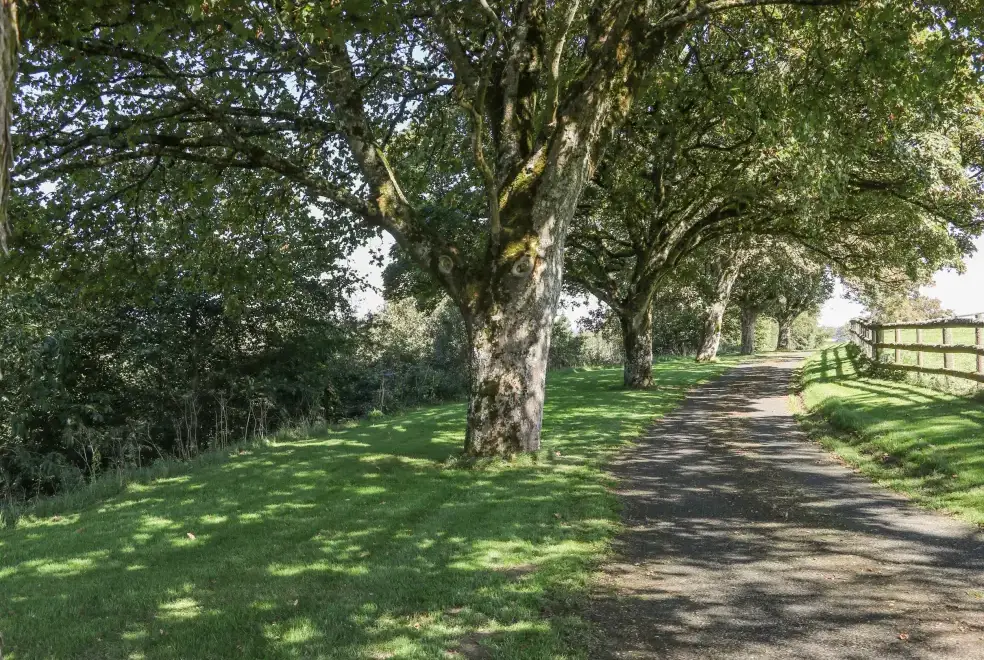 Good walks near Middle Barn Dogs-welcome Cottage, South West England