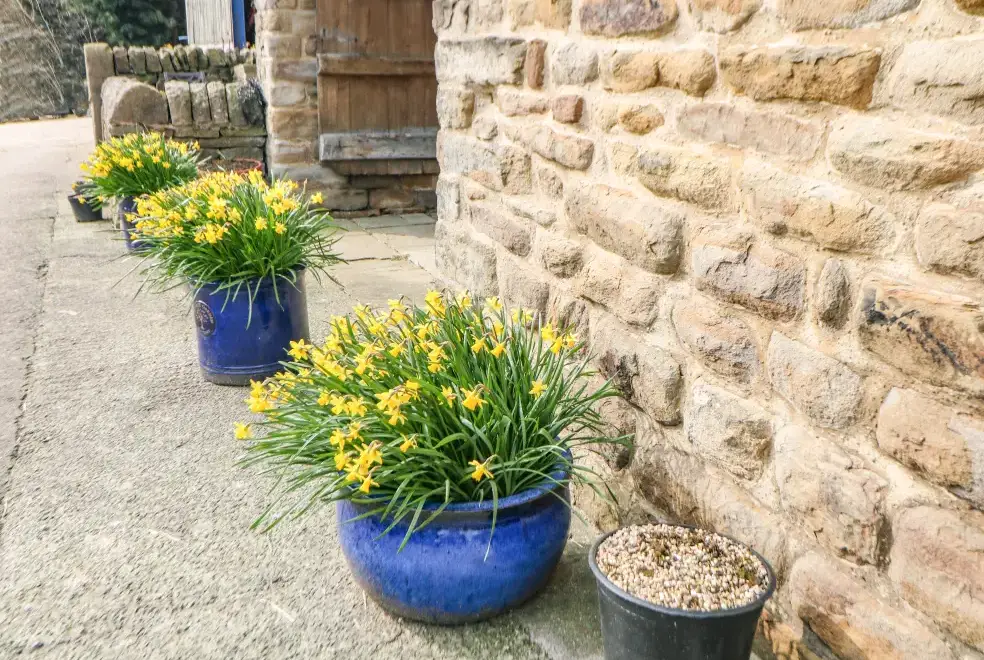 Midfeather Cottage, from the outside
