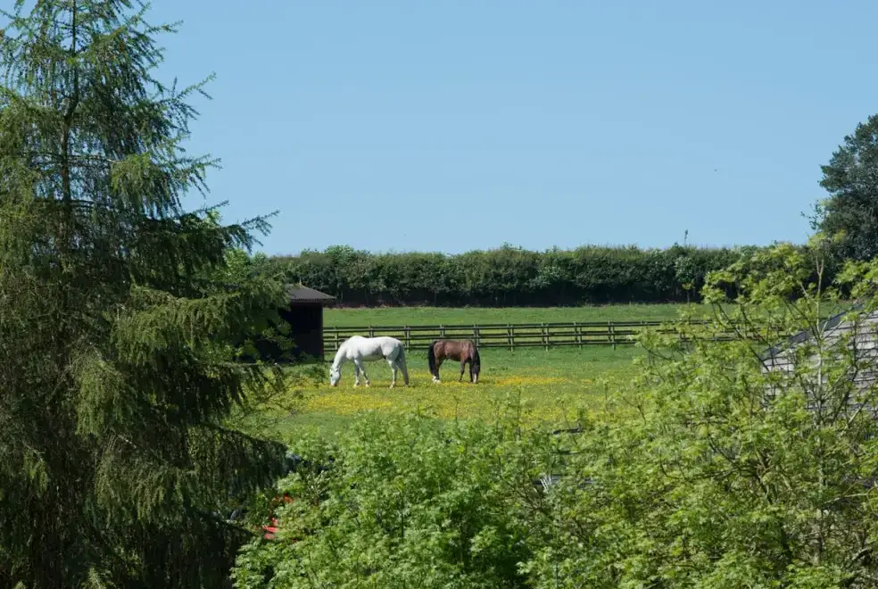 Countryside near Mill Cottage