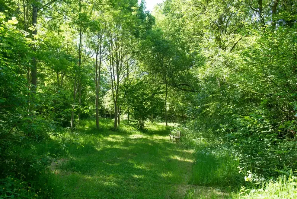 Countryside near Mill Cottage