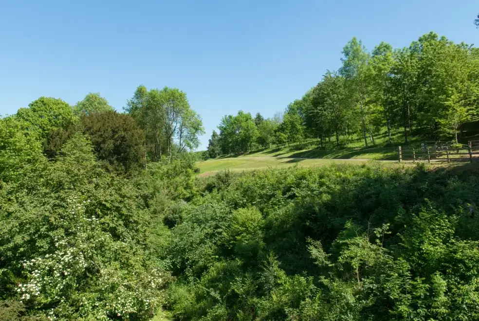 Countryside views at Mill Cottage
