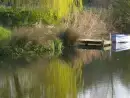 Surrounding area near Mill Cottage - thumbnail photo