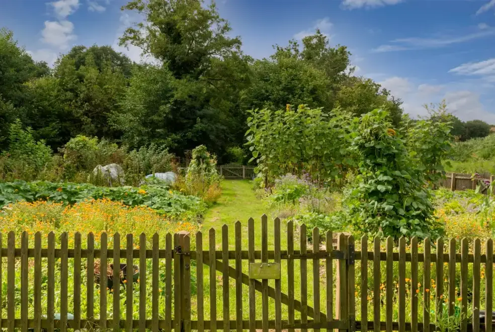 Garden at Mill Cottage