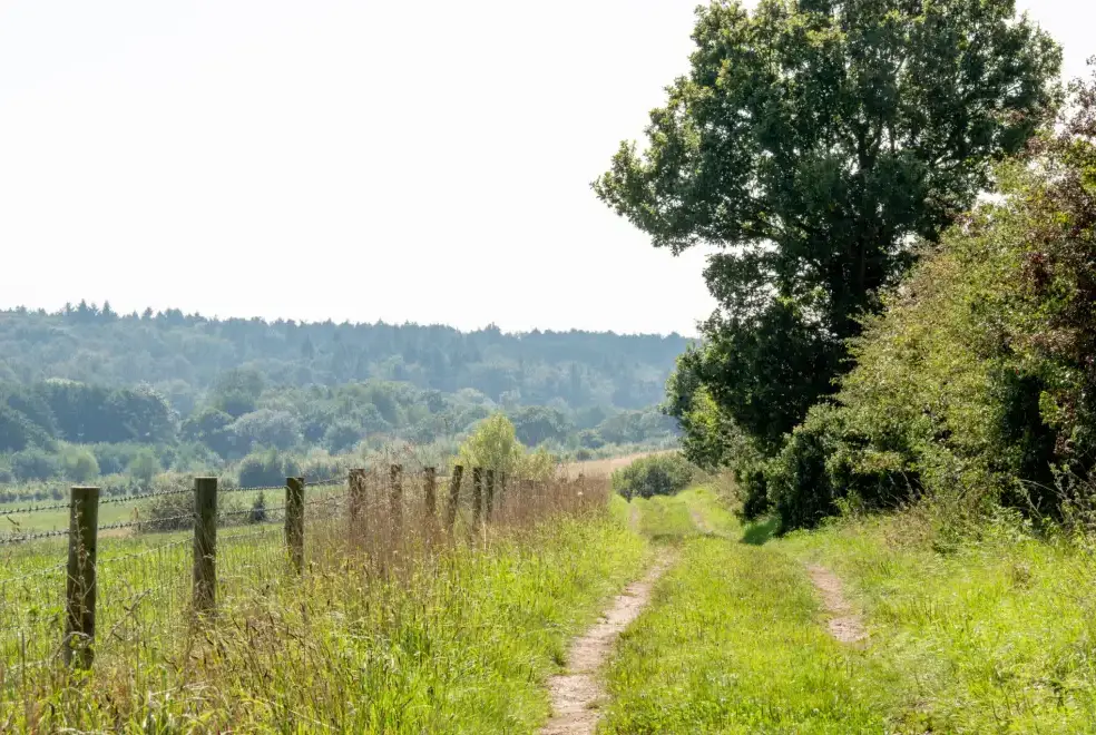 Good walks near Mill Cottage