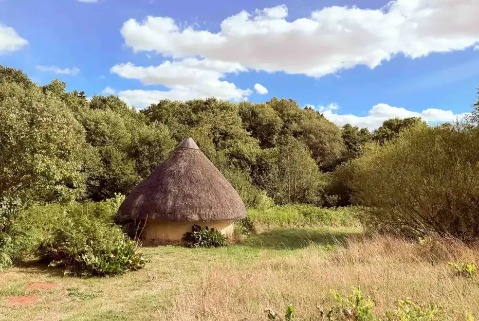 Good walks near Mill Cottage