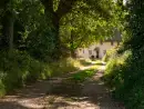 Good walks near Mill Cottage - thumbnail photo